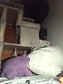 BIG-CkD F online show from 01-13-25, 12:02