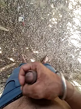 breejs online show from 11-23-25, 08:25