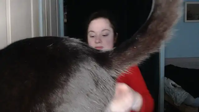 Snapshot of ryhhnnagold99 chatting on 02-08-26, 02:53 ryhhnnagold99 online show from 02-08-26, 02:53