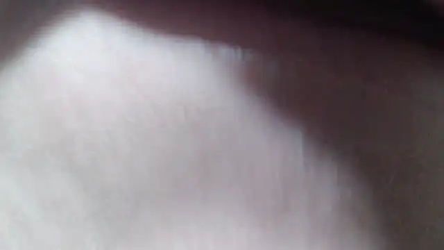 Snapshot of selenax2023 chatting on 10-09-25, 01:47 selenax2023 online show from 10-09-25, 01:47