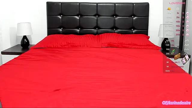 Snapshot of karinamadnessdesiree chatting on 01-11-25, 01:11 karinamadnessdesiree online show from 01-11-25, 01:11