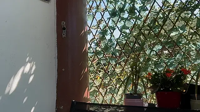karo123421 online show from 06-17-26, 07:44