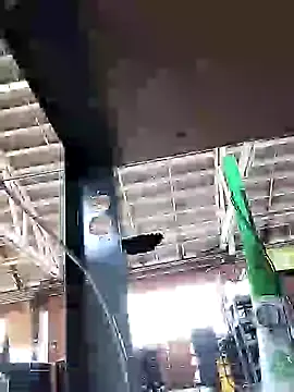 Daddy hook online show from 12-12-24, 06:53