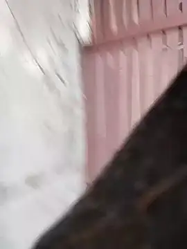 Daddy hook online show from 12-22-24, 03:11