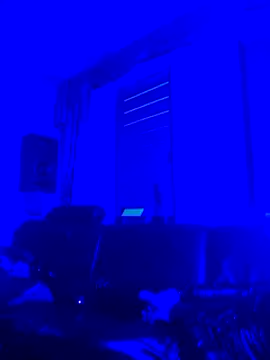 Crystalbitchx online show from 01-18-25, 06:56