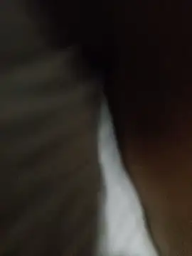 Snapshot of Taniyakuma chatting on 12-24-24, 03:16 Taniyakuma online show from 12-24-24, 03:16