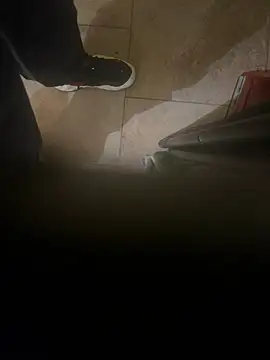 Snapshot of dingoding chatting on 01-08-25, 04:44 dingoding online show from 01-08-25, 04:44