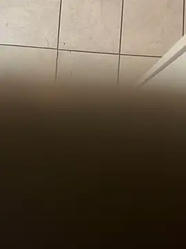 Snapshot of dingoding chatting on 01-10-25, 03:39 dingoding online show from 01-10-25, 03:39