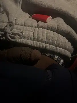 Snapshot of dingoding chatting on 02-22-25, 01:44 dingoding online show from 02-22-25, 01:44