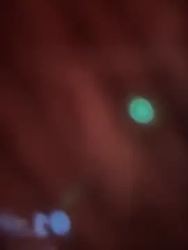  Danna online show from 02-14-26, 11:07