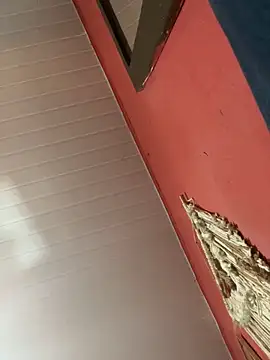 pimenta gaby online show from 10-18-25, 01:01