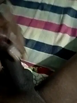 Like african online show from 04-19-26, 08:44