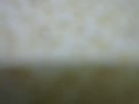 castistee online show from 10-26-25, 10:36