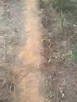 Gopal1243 online show from 02-10-25, 02:08