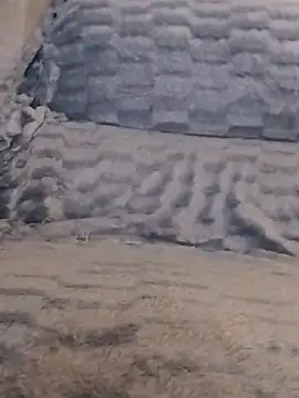 LoGaNfree88 online show from 04-13-26, 01:11