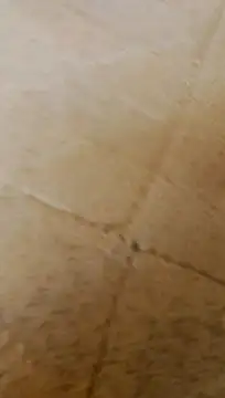 LULE37587001 online show from 02-20-26, 06:26