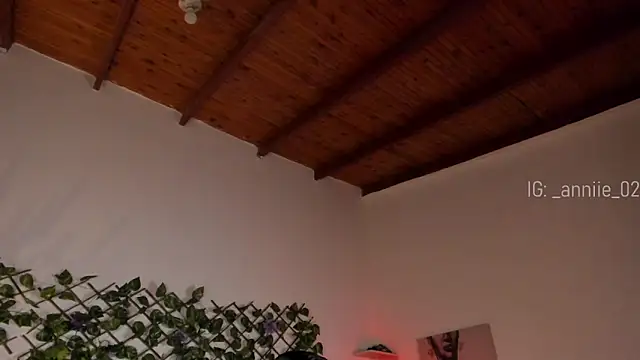 annie barozzi online show from 01-21-25, 01:32