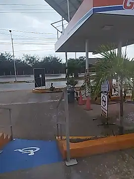 sagrado 1989 online show from 01-12-26, 10:04