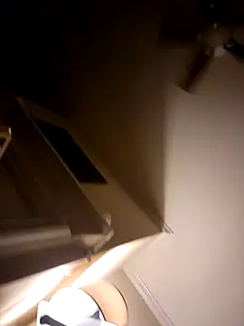 Snapshot of IMS_BHAVEN chatting on 03-04-26, 04:18 IMS BHAVEN online show from 03-04-26, 04:18