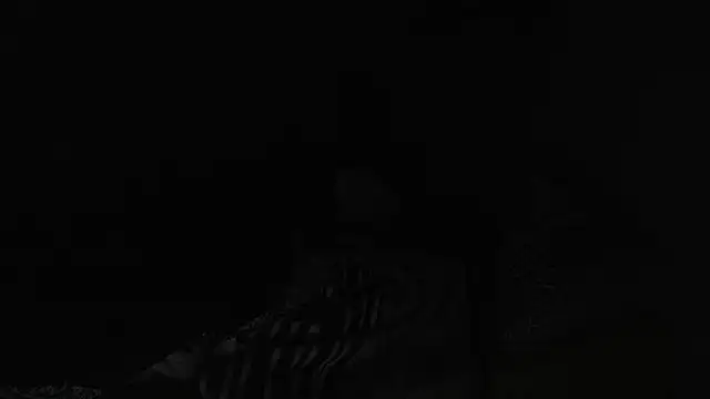 BELINDAXXXXX online show from 12-13-24, 08:04