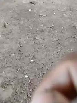 Snapshot of dheck2020 chatting on 01-07-25, 06:45 dheck2020 online show from 01-07-25, 06:45