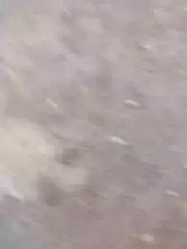 Snapshot of dheck2020 chatting on 01-07-25, 11:45 dheck2020 online show from 01-07-25, 11:45