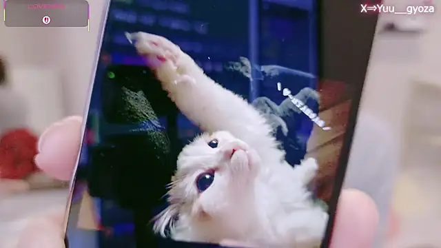 Yuu  k online show from 03-07-26, 02:36