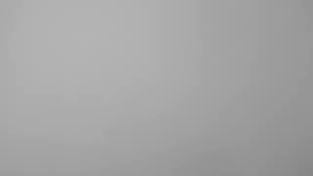 All yours555 online show from 10-23-25, 10:08