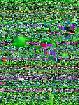 Snapshot of eva_six chatting on 12-20-24, 06:45 eva six online show from 12-20-24, 06:45