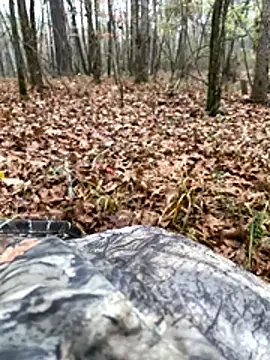 Themechanic420 online show from 12-13-25, 10:26