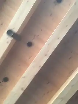 Fellix online show from 12-11-24, 11:30