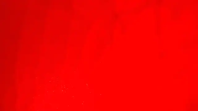 KarimaSarabe online show from 11-28-25, 09:17