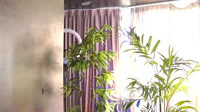 HotSkinnyX online show from 10-11-25, 09:41