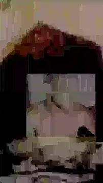 Happypotplants online show from 12-23-25, 02:53