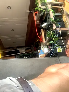 Likewise online show from 12-18-25, 08:48