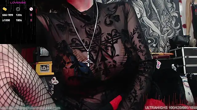 Silentmary online show from 12-29-24, 01:45