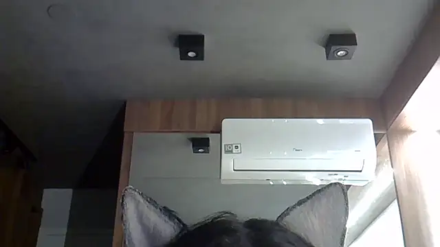 Skinny-Kitten online show from 10-20-25, 01:39