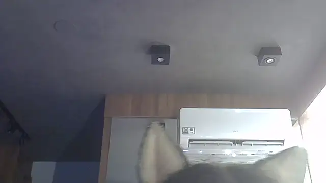 Skinny-Kitten online show from 12-16-25, 05:18