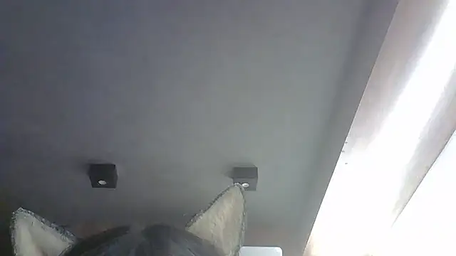 Skinny-Kitten online show from 01-19-26, 07:23