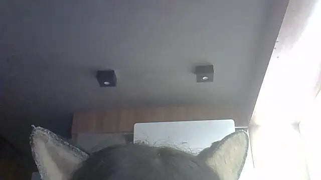 Skinny-Kitten online show from 05-27-26, 04:37