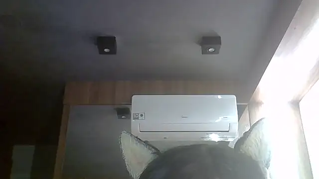 Snapshot of Skinny-Kitten chatting on 06-15-26, 08:38 Skinny-Kitten online show from 06-15-26, 08:38