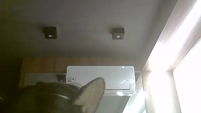 Snapshot of Skinny-Kitten chatting on 06-17-26, 03:46 Skinny-Kitten online show from 06-17-26, 03:46