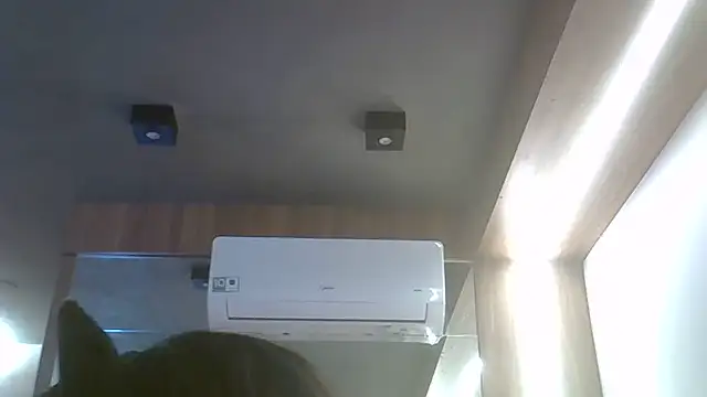 Snapshot of Skinny-Kitten chatting on 06-19-26, 12:20 Skinny-Kitten online show from 06-19-26, 12:20