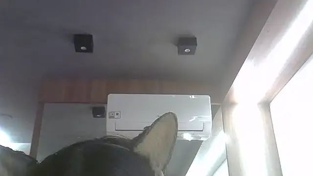 Snapshot of Skinny-Kitten chatting on 06-25-26, 11:31 Skinny-Kitten online show from 06-25-26, 11:31