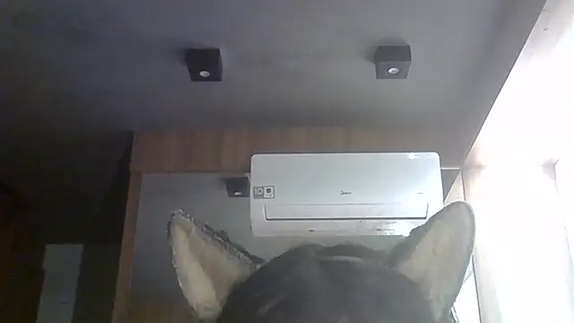 Snapshot of Skinny-Kitten chatting on 06-27-26, 01:28 Skinny-Kitten online show from 06-27-26, 01:28