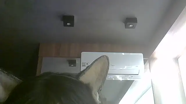 Snapshot of Skinny-Kitten chatting on 07-06-26, 05:37 Skinny-Kitten online show from 07-06-26, 05:37