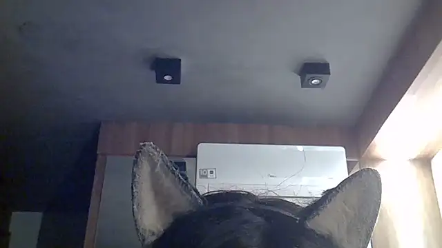 Snapshot of Skinny-Kitten chatting on 07-12-26, 07:43 Skinny-Kitten online show from 07-12-26, 07:43