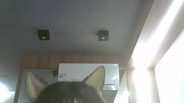 Snapshot of Skinny-Kitten chatting on 07-17-26, 11:53 Skinny-Kitten online show from 07-17-26, 11:53