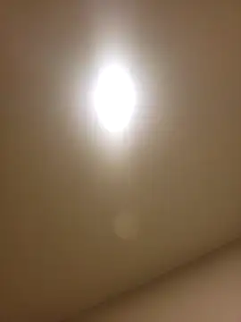 lofibunni online show from 02-14-26, 12:46