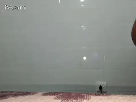 Stormward online show from 02-24-25, 06:15